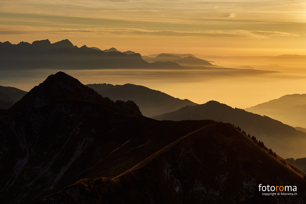 RM-2021.10.28-0451 - RM-2021.10.28-0451.jpg RM-2021.10.28-0451.jpg