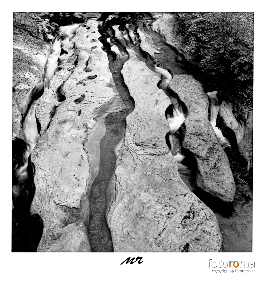 The Labyrinth
	Papierabzug
	 
	Hasselblad 500c/m & Zeiss Planar 80mm f1:2.8
	 
	f5.6, 1/2s
 RM-2021.10.13-0386.jpg