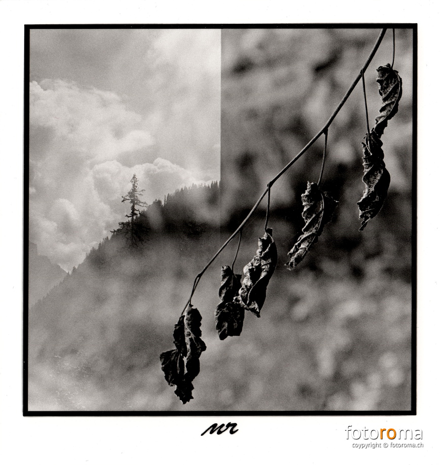 Image by Accident
	Papierabzug
	 
	Nikon FM2n & Nikkor 50mm f1:1.8
 RM-2021.11.27-0467.jpg