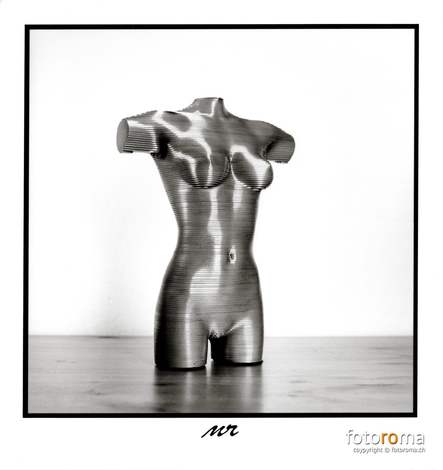 Body of Steel
Papierabzug
Hasselblad 500c/m & Zeiss Planar 80mm f1:2.8 & Zwischenring 21mm
f8, 1/125s
RM-2021.12.07-0470.jpg