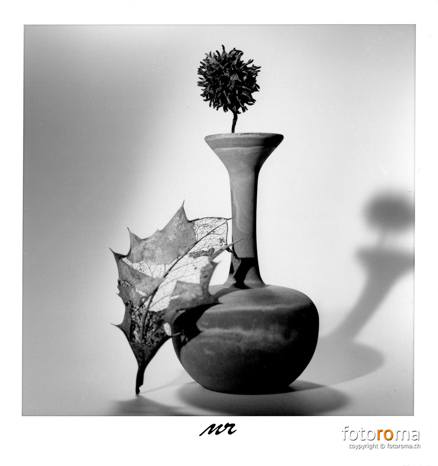 Still Life
	Papierabzug
	 
	Hasselblad 500c/m & Zeiss Planar 80mm f1:2.8 & Zwischenring 21mm
	 
	f8, 1/250s
 RM-2021.12.12-0471.jpg