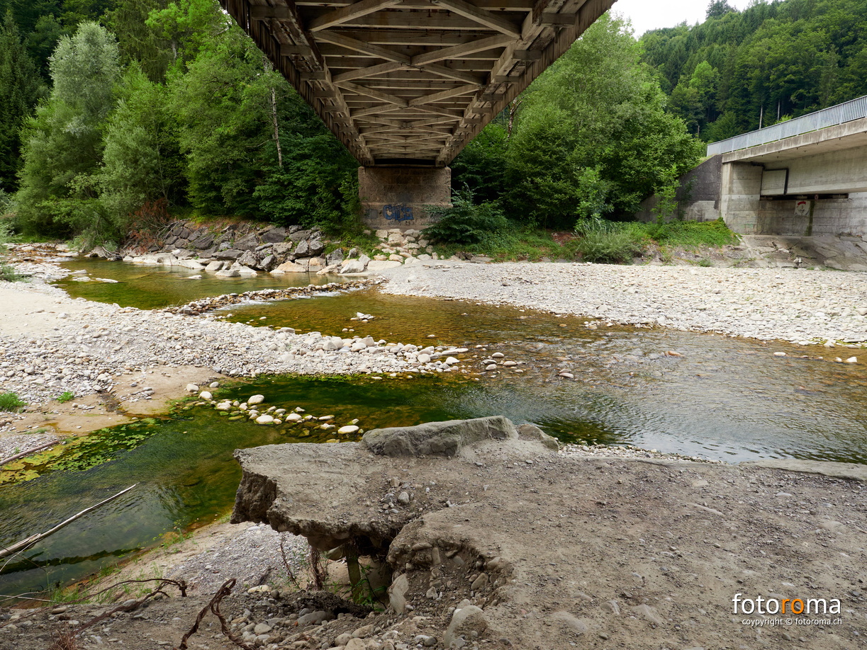 Niedrigwasser
	Sense
 RM-2022.08.14-0272.jpg