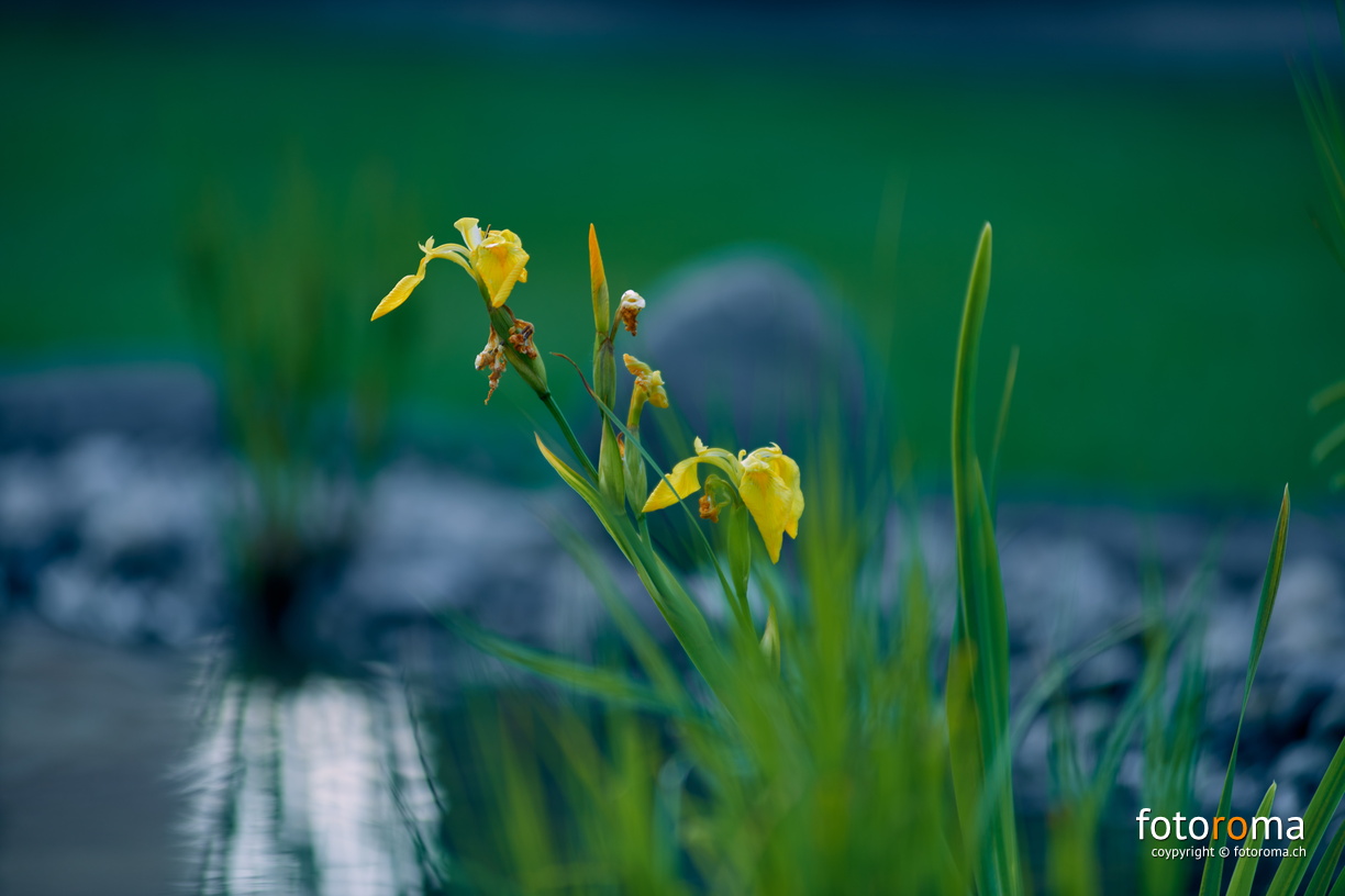 RM-2023.06.01-0202 - RM-2023.06.01-0202.jpg RM-2023.06.01-0202.jpg