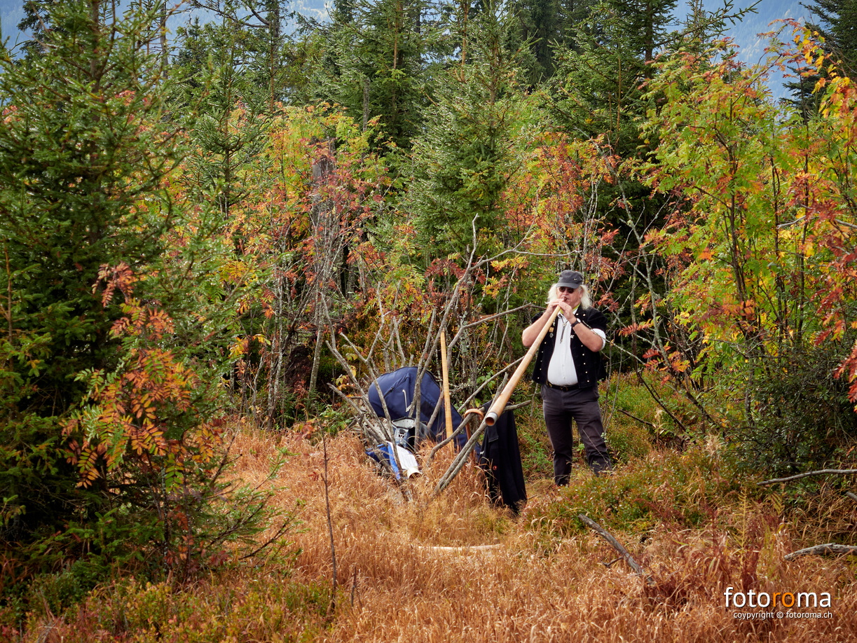 RM-2023.10.15-0680 - RM-2023.10.15-0680.jpg RM-2023.10.15-0680.jpg