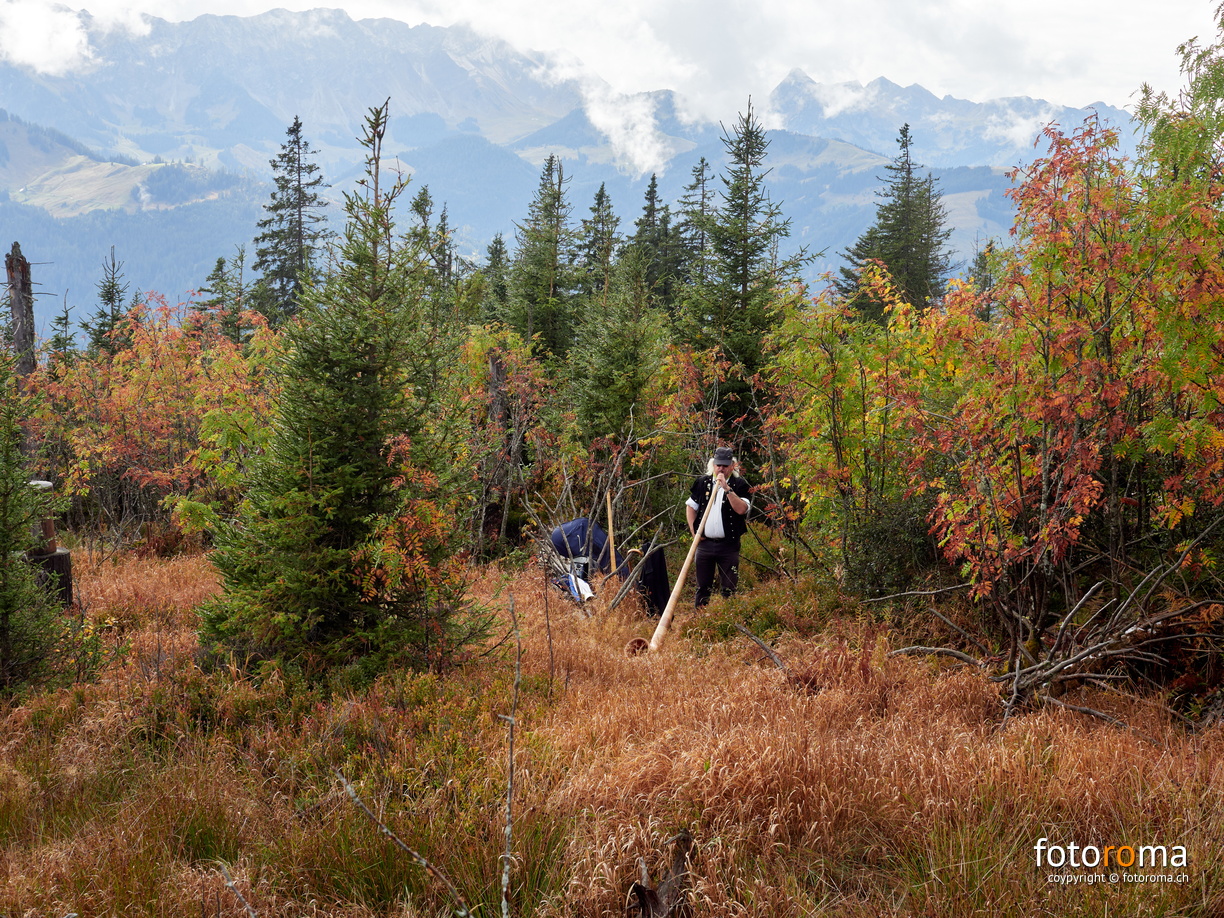 RM-2023.10.15-0682 - RM-2023.10.15-0682.jpg RM-2023.10.15-0682.jpg