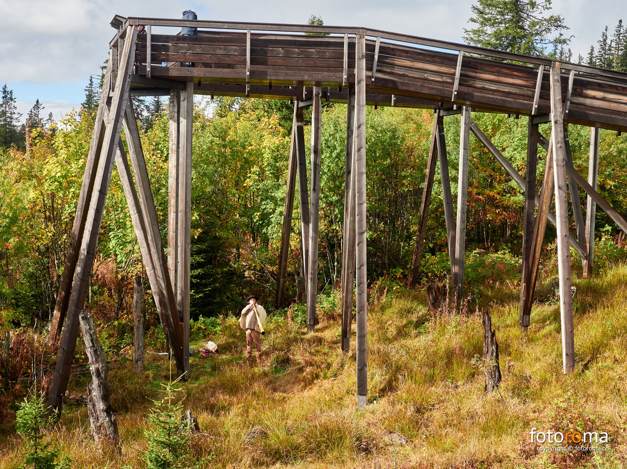 RM-2023.10.15-0687 - RM-2023.10.15-0687.jpg RM-2023.10.15-0687.jpg