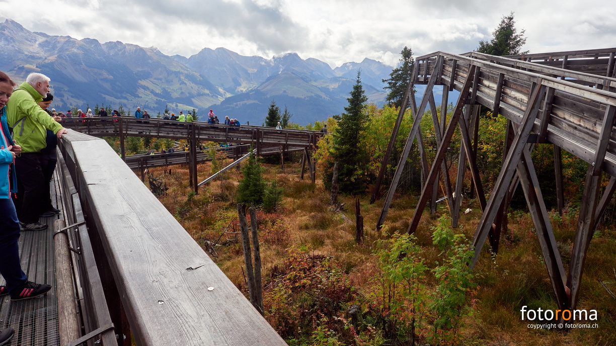 RM-2023.10.15-0688 - RM-2023.10.15-0688.jpg RM-2023.10.15-0688.jpg