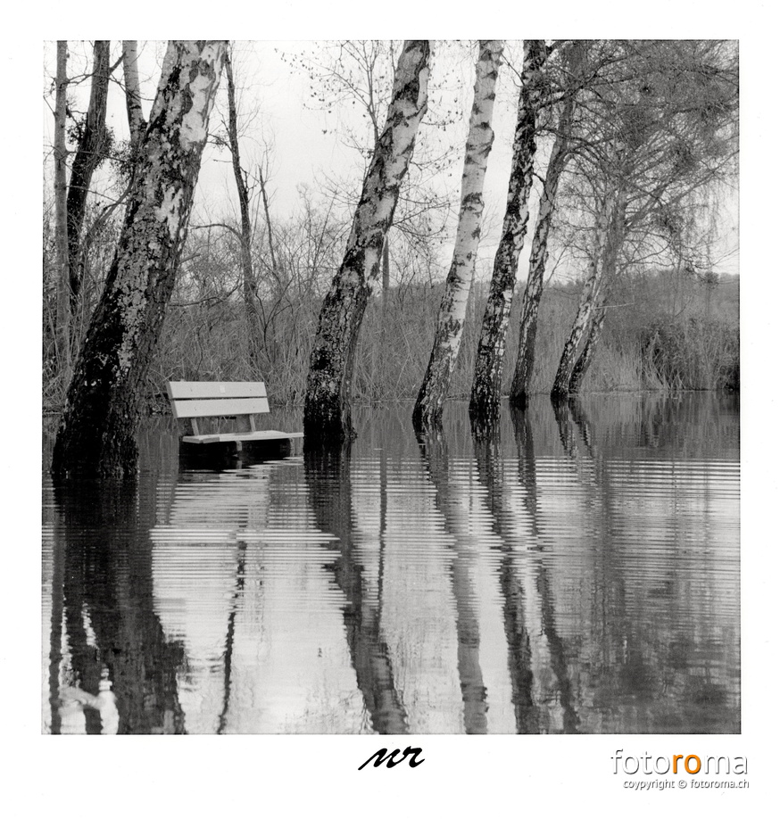 Hochwasser Bielersee 2023
Papierabzug
Nikon F100 & Nikkor AF-S 50mm f1.8
RM-2023.12.28-0986.jpg