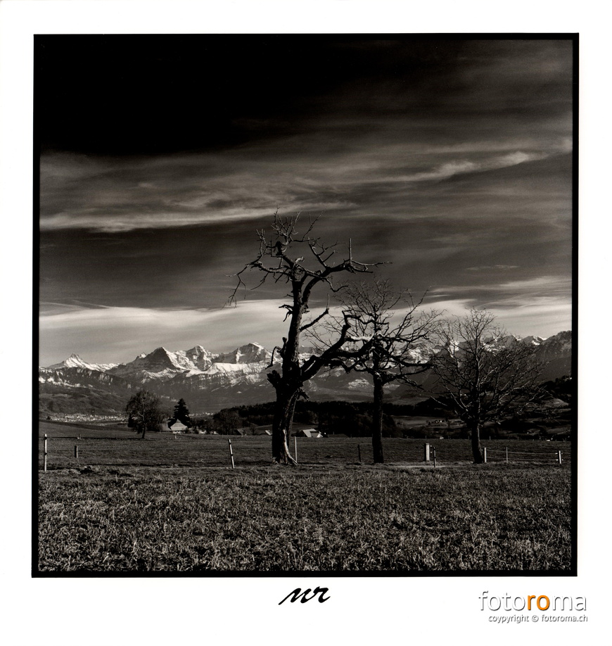 RM-2024.02.25-0009 - RM-2024.02.25-0009.jpg RM-2024.02.25-0009.jpg