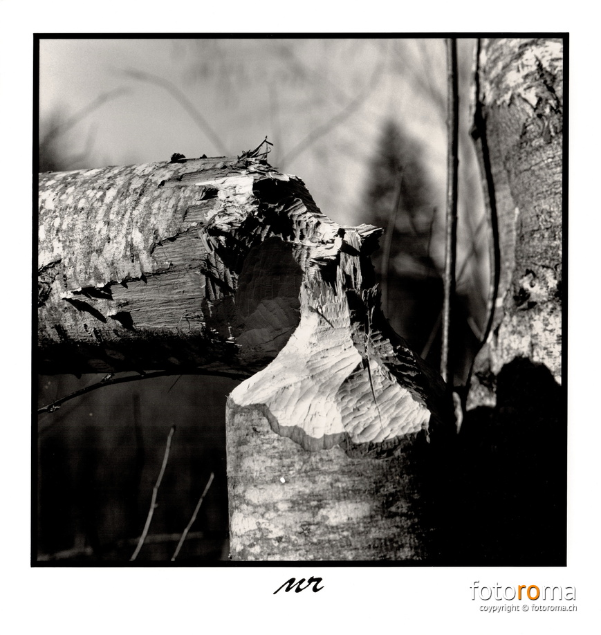 RM-2024.02.25-0010 - RM-2024.02.25-0010.jpg RM-2024.02.25-0010.jpg