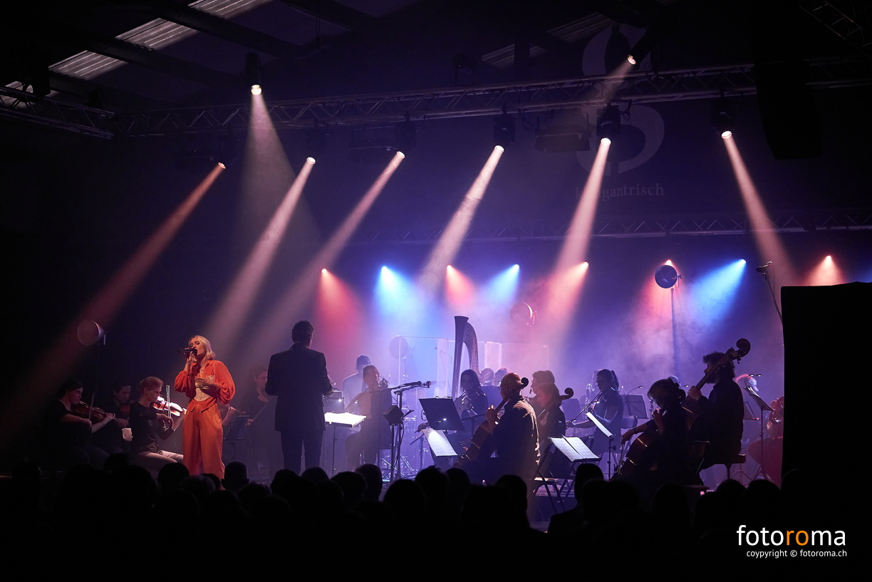 RM-2024.06.07-0346 - RM-2024.06.07-0346.jpg RM-2024.06.07-0346.jpg