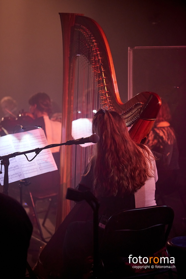 RM-2024.06.07-0366 - RM-2024.06.07-0366.jpg RM-2024.06.07-0366.jpg