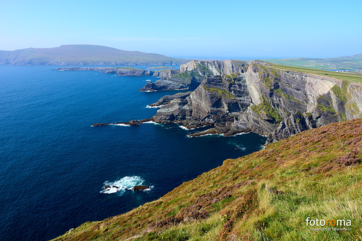 RM-2024.08.31-0849 - RM-2024.08.31-0849.jpg RM-2024.08.31-0849.jpg