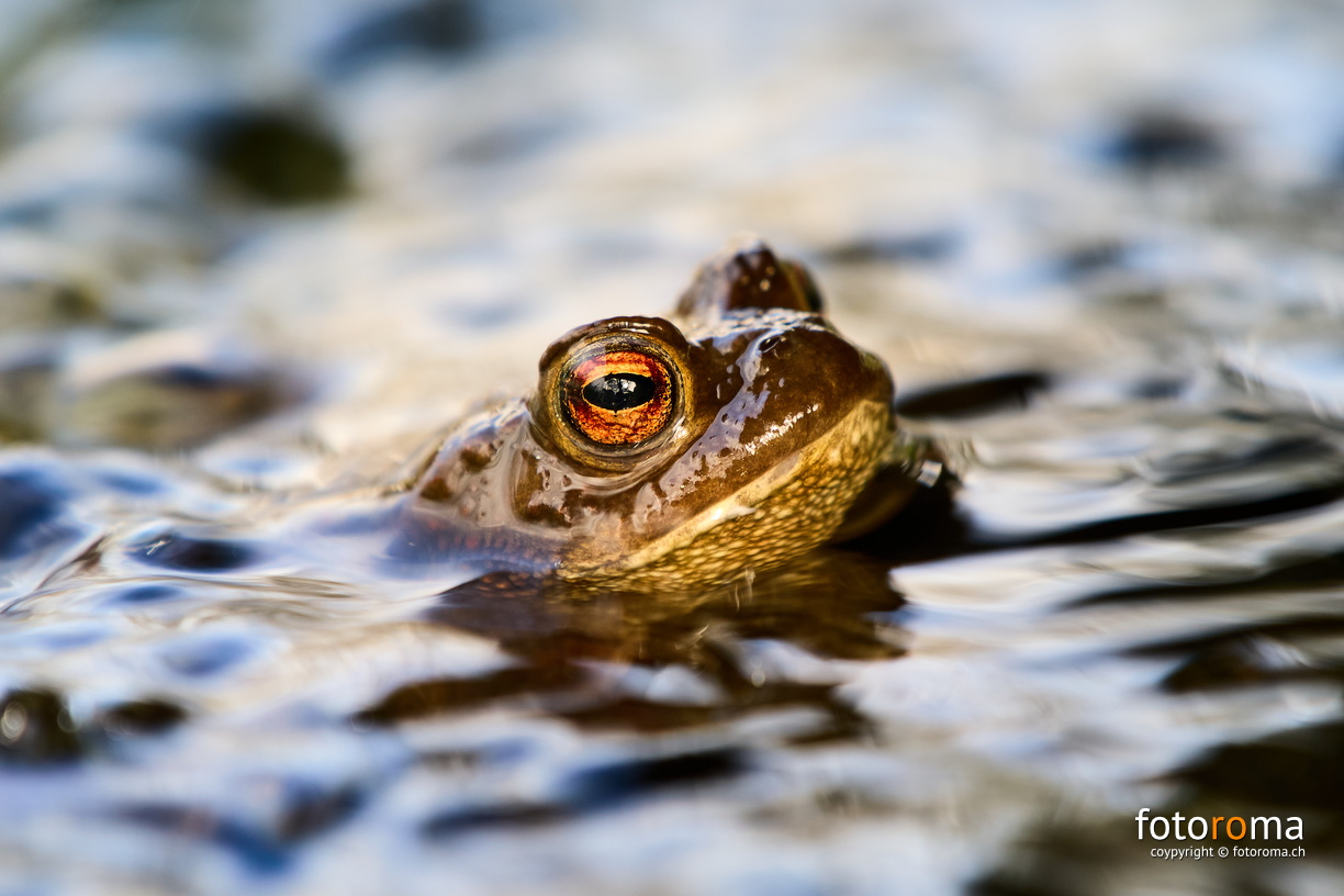 RM-2025.04.27-0001 - RM-2025.04.27-0001.jpg RM-2025.04.27-0001.jpg