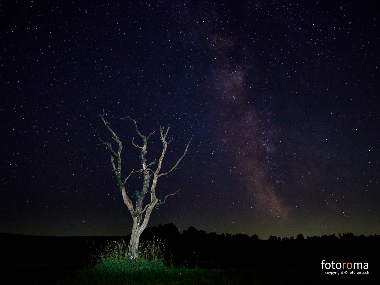 RM-2025.08.18-0278 - RM-2025.08.18-0278.jpg RM-2025.08.18-0278.jpg