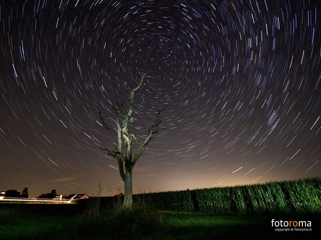 RM-2025.08.18-0279 - RM-2025.08.18-0279.jpg RM-2025.08.18-0279.jpg